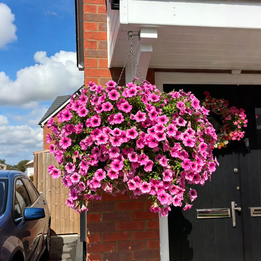 🔥LAST DAY 60% OFF🔥UV RESISTANT ARTIFICIAL PETUNIAS FLOWERS